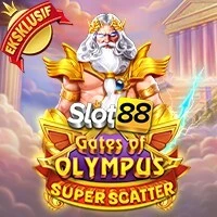 SLOT88 x PP #020
