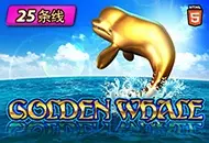 SPADE GAMING #030